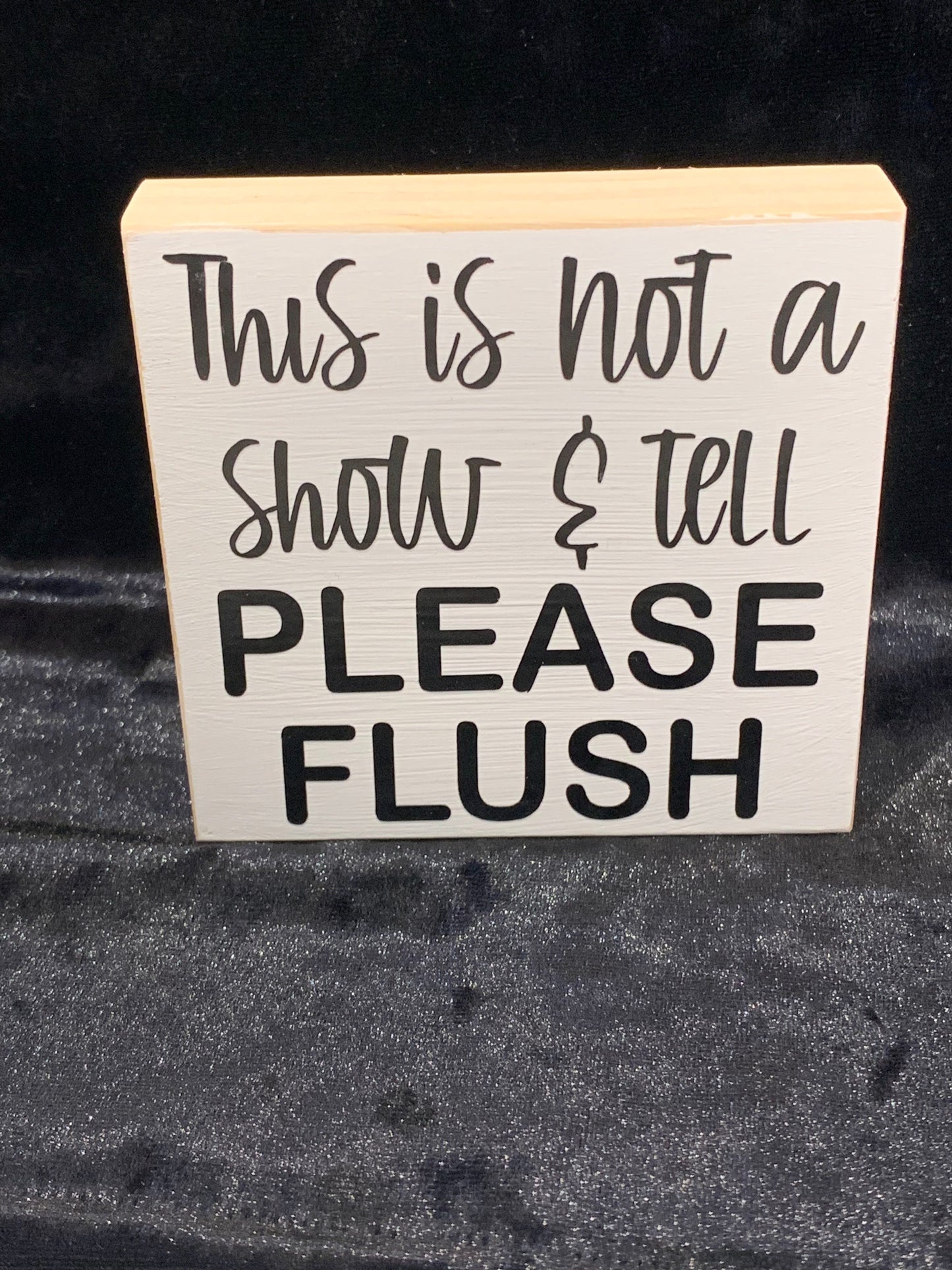 Bathroom- Flush shelf sitter