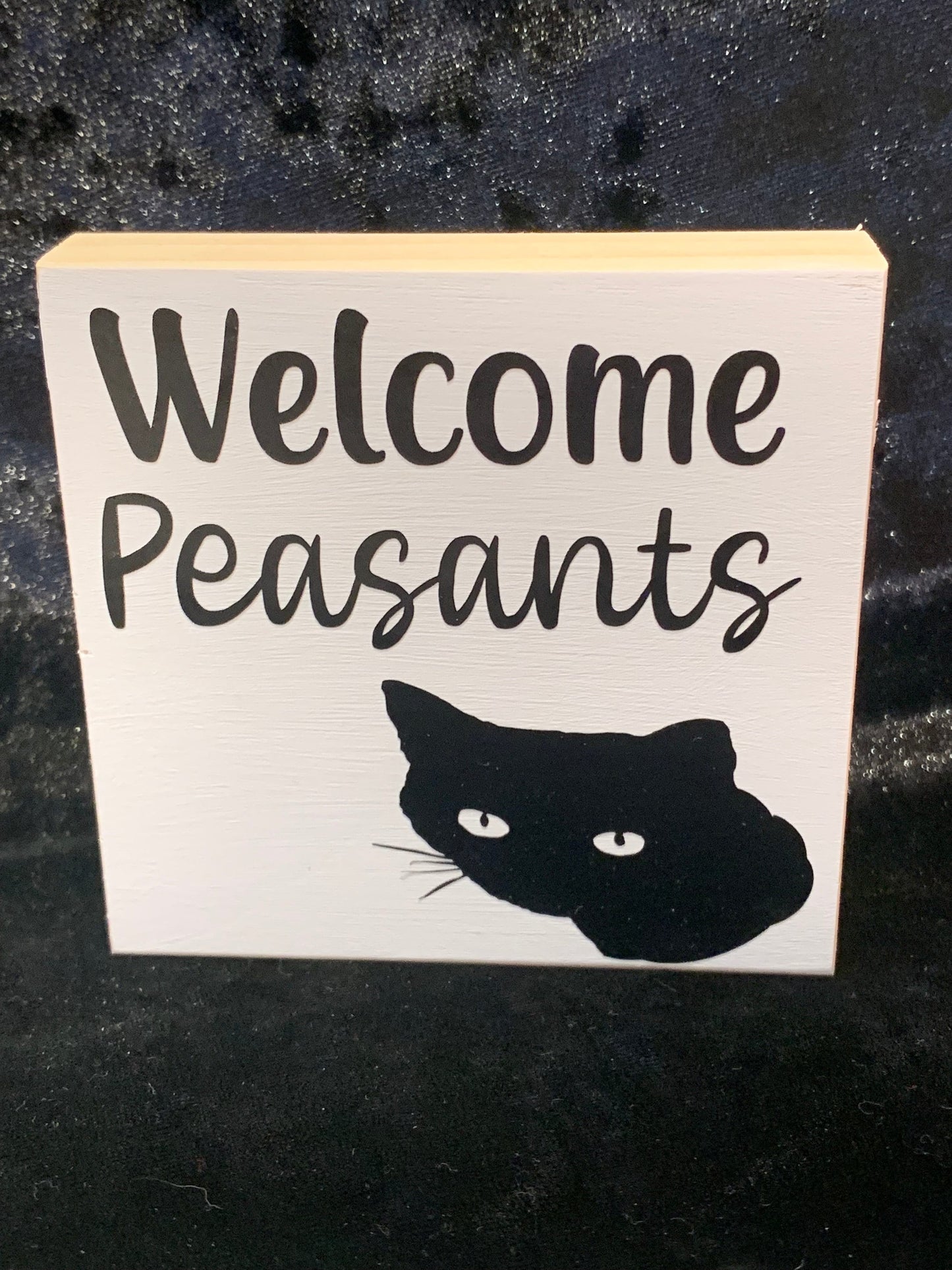 Cat welcome peasants block